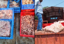 Hyderabad Food Safety Raid: 352 Kg Spoiled Chicken Seized in Moosapet, One Arrested