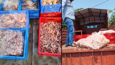 Hyderabad Food Safety Raid: 352 Kg Spoiled Chicken Seized in Moosapet, One Arrested