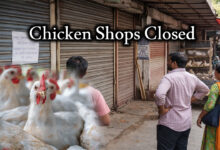 Chicken Shops Closed in Telangana from April 1: Bandh Announced Over Poultry Margin Crisis