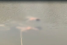 Three Youths Drown While Swimming in Gandipet Lake in Rangareddy District