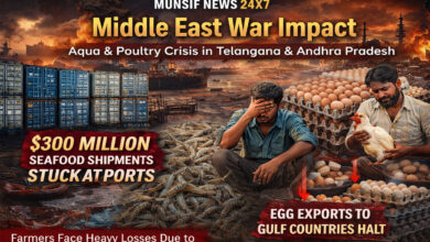 Middle East War Impact: Aqua and Poultry Farmers in Telangana & Andhra Pradesh Face Heavy Losses