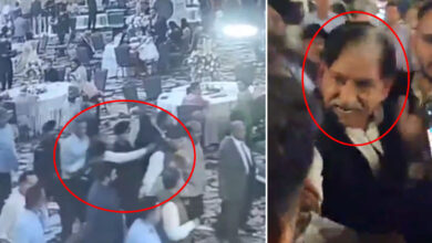 Attempt to Kill Farooq Abdullah in Jammu Foiled, Attacker Arrested, Deputy CM Injured