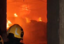 Hyderabad Fire: Massive Fire Erupts at Plywood Warehouse in Katedan Area