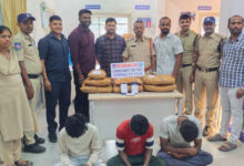 Hyderabad Task Force Busts Ganja Racket in Chilkalguda, 3 Peddlers and 4 Consumers Held; 11.53 Kg Ganja Seized