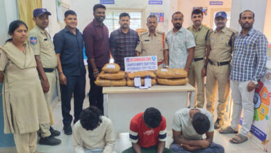 Hyderabad Task Force Busts Ganja Racket in Chilkalguda, 3 Peddlers and 4 Consumers Held; 11.53 Kg Ganja Seized