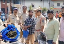 500 Grams of Ganja Seized in Mailardevpally NPA Colony, Man Arrested by Task Force