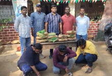 Hyderabad Ganja Bust: 10.16 Kg Seized in Nampally, 3 Arrested in Major Drug Network Crackdown
