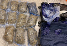 Hyderabad RGIA Drug Bust: Hydroponic Ganja Worth ₹8.9 Crore Seized from Bangkok Passengers