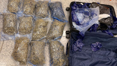 Hyderabad RGIA Drug Bust: Hydroponic Ganja Worth ₹8.9 Crore Seized from Bangkok Passengers