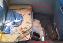 School Bus Tragedy: 8-Year-Old Girl Dies After Falling Through Rusted Bus Floor