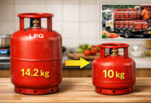 LPG Cylinder Size May Be Reduced to 10 Kg: Govt Plans Amid Gas Supply Concerns