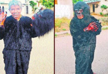 Bear Costume Trick to Scare Monkeys in Medak: Unique Experiment Gains Attention