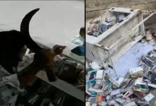 Hyderabad Chaderghat Attack: Youth Creates Panic with Knife, Shop Vandalised in Ganja Intoxication