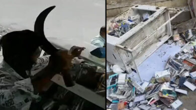 Hyderabad Chaderghat Attack: Youth Creates Panic with Knife, Shop Vandalised in Ganja Intoxication