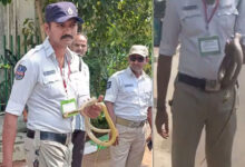 Snake Spotted in Telangana Assembly Premises Sparks Panic in Hyderabad