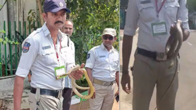 Snake Spotted in Telangana Assembly Premises Sparks Panic in Hyderabad