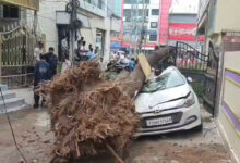 Tree Falls on Car in Hyderabad: Vehicle Crushed Amid Strong Winds, No Injuries Reported