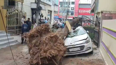 Tree Falls on Car in Hyderabad: Vehicle Crushed Amid Strong Winds, No Injuries Reported