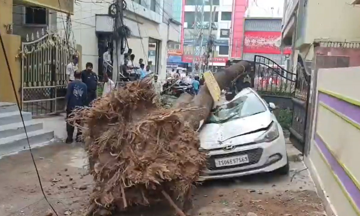 Tree Falls on Car in Hyderabad: Vehicle Crushed Amid Strong Winds, No Injuries Reported