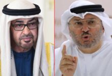 UAE Sharp Warning: Return to senses: UAE warns Iran, asks it to behave responsibly with neighbor's