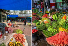 Tomato Price Drops in Telugu States, Vegetable Prices Fall Bringing Relief to Common Man