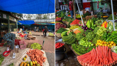 Tomato Price Drops in Telugu States, Vegetable Prices Fall Bringing Relief to Common Man