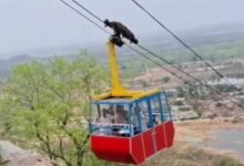 Six injured as Khallari temple ropeway snaps midway in Chhattisgarh's