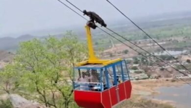 Six injured as Khallari temple ropeway snaps midway in Chhattisgarh's