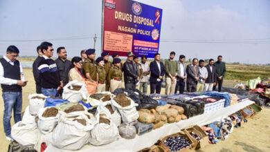 Pak-linked drug flow via Golden Crescent increases; India intensifies multi-agency crackdown