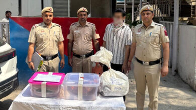 Delhi Police bust ganja supply network, three arrested with over 3 kg contraband