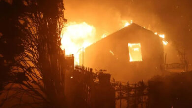 Wildfires ravage US, force mass evacuations