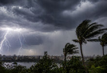 Thunderstorms, Gusty Winds Likely Across Telangana Over Next 24 Hours