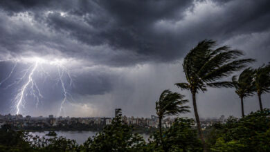 Thunderstorms, Gusty Winds Likely Across Telangana Over Next 24 Hours