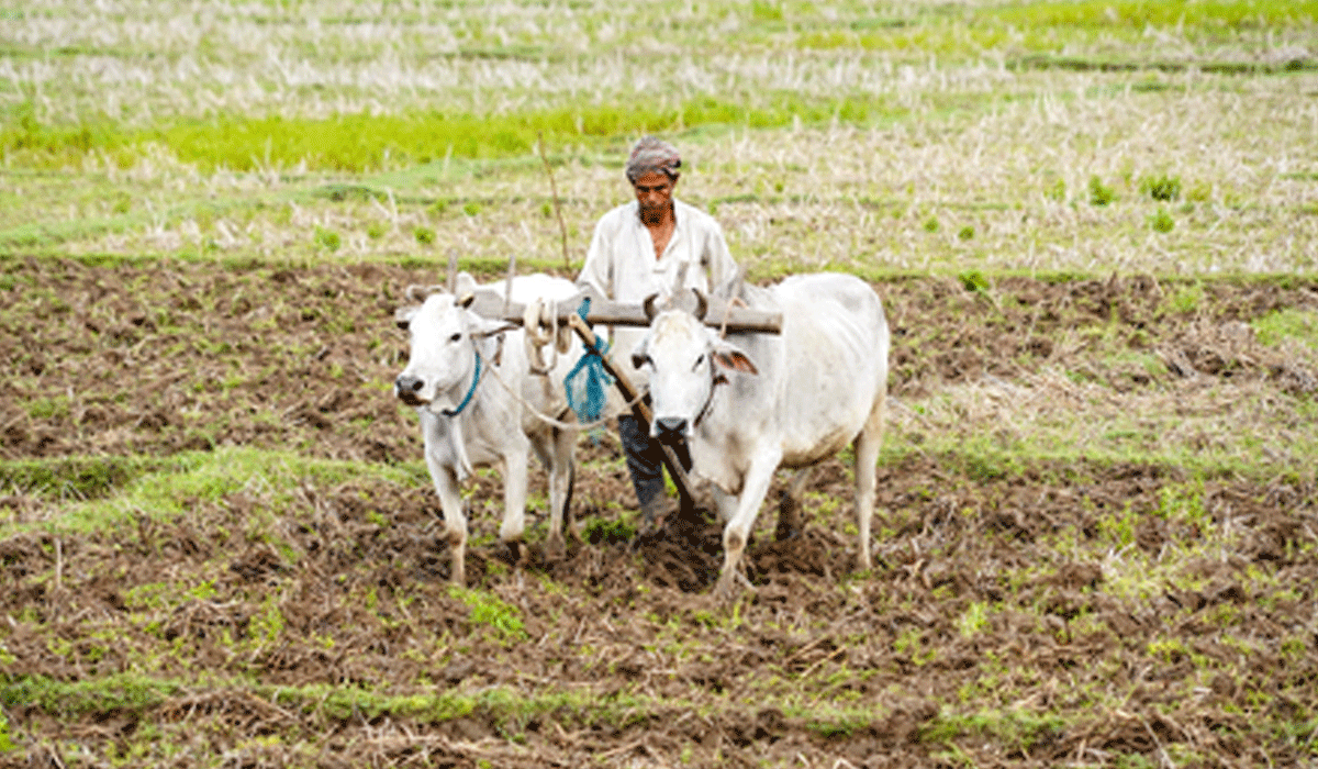 92 pc monsoon forecast, 35 pc deficit risk cloud FY27 farm outlook