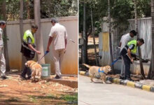 Bomb Threat at JNTUH Kukatpally: Police Conduct Checks After Email Alert