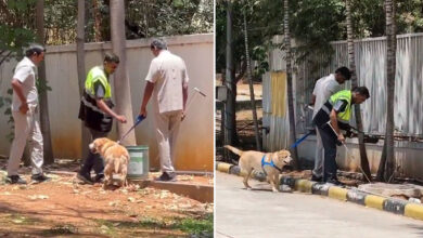 Bomb Threat at JNTUH Kukatpally: Police Conduct Checks After Email Alert