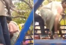 Telangana Gas Cylinder Delay: Customers Wait for 41 Days, Collect Cylinders Themselves