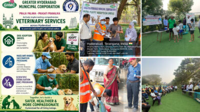 Hyderabad Rabies Prevention Drive: GHMC Launches Vaccination, Adoption & ABC Programs