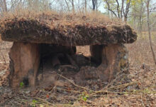 Prehistoric Burial Sites Discovered in Telangana: Ancient Human Settlement Found in Godavari Basin