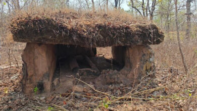 Prehistoric Burial Sites Discovered in Telangana: Ancient Human Settlement Found in Godavari Basin