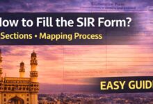 Step-by-step explanation of how to fill SIR form with sections and mapping process details.
