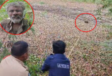 Hyderabad Rescue: Elderly Man Stuck in Mud at Gurram Cheruvu Balapur Saved by Police