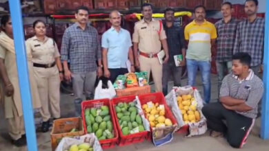 Hyderabad Asif Nagar Mango Raid: 7 Tonnes Seized as Ethylene Chemical Ripening Exposed