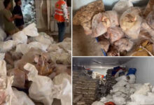Hyderabad Balapur Police Raid: Unhygienic Meat Storage Busted at Salami Industries, Case Registered