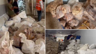 Hyderabad Balapur Police Raid: Unhygienic Meat Storage Busted at Salami Industries, Case Registered