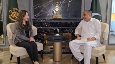 US-Iran Talks: Pakistan Minister Mohsin Naqvi Meets US Envoy Natalie Baker, Push for 2nd Round in Islamabad Amid Ceasefire Uncertainty