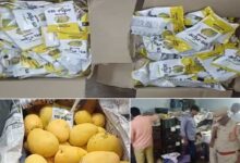 Chemically Ripened Mangoes Seized in Goshamahal