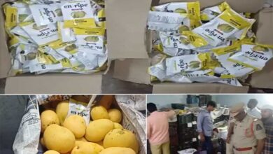 Chemically Ripened Mangoes Seized in Goshamahal