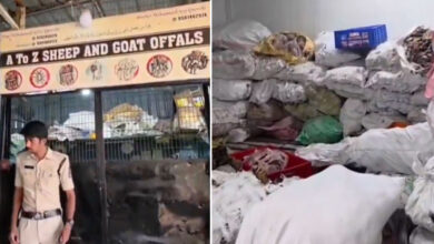Mangalhat Hyderabad Unhygienic Meat Sale Busted: 14 Tons Seized, Owner Absconding After Police Raid
