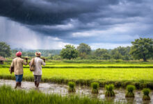 India Monsoon 2026 Forecast: IMD Predicts Below-Normal Rainfall Across Country